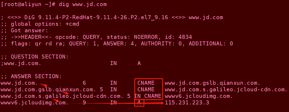 image-20241228185713917